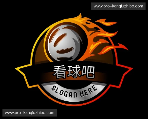 介绍看球吧
